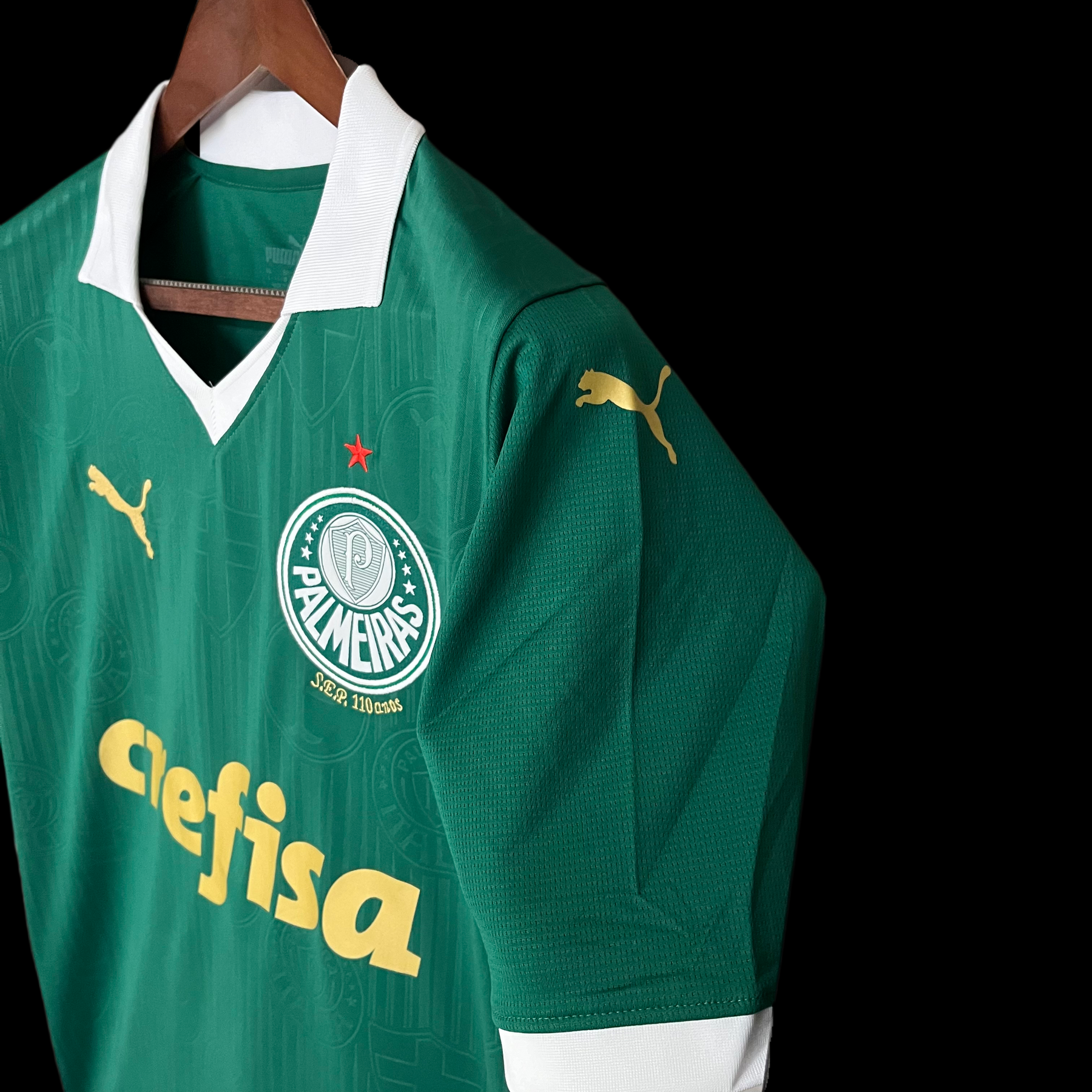 Camisa Palmeiras I 24/25 - Verde